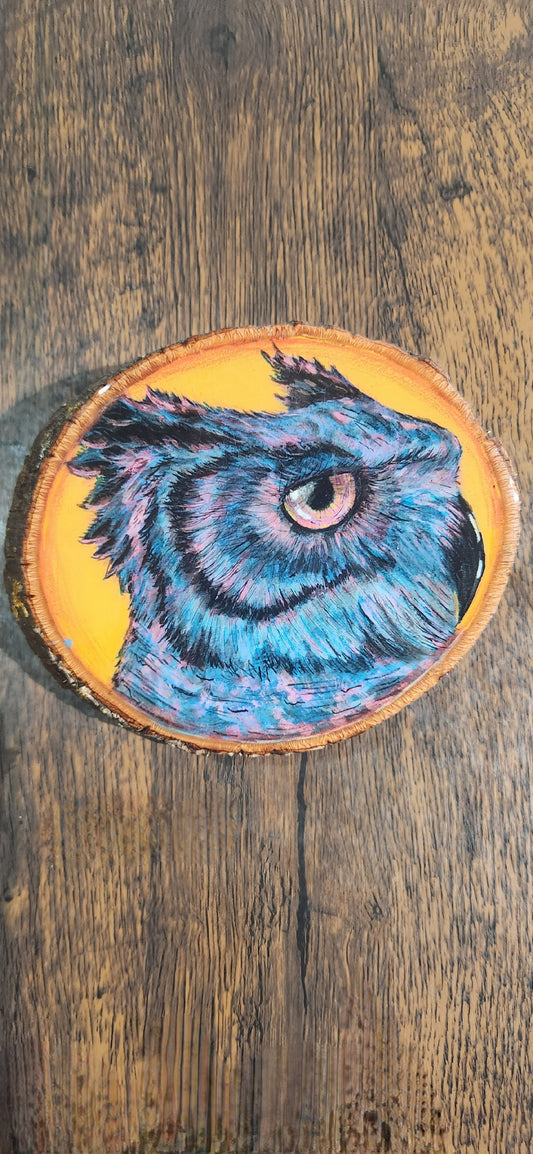 Owl No.6