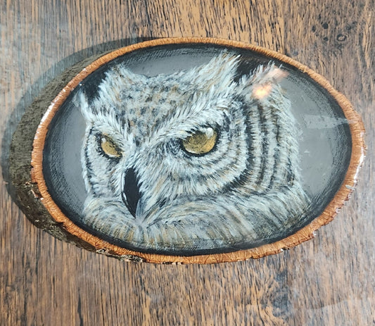 Owl No.5