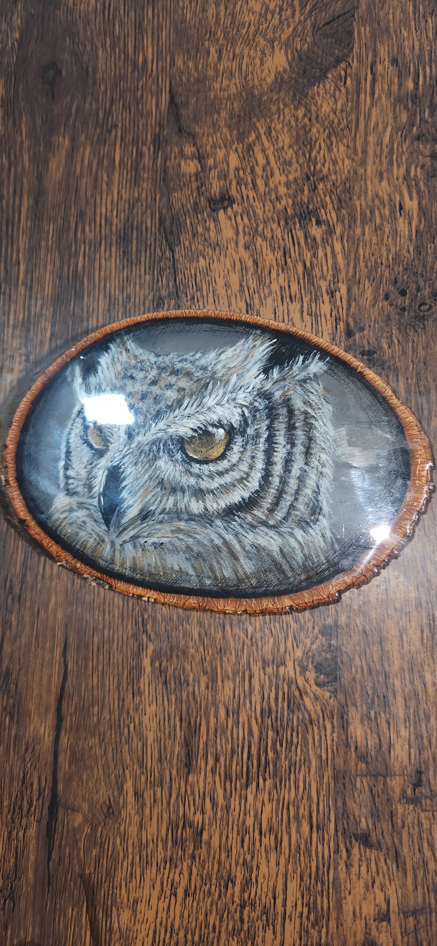 Owl No.5