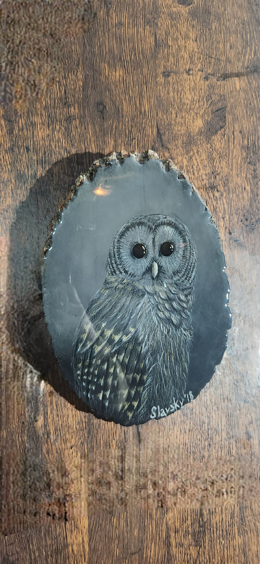 Owl No.3